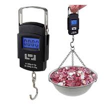 Portable Digital Weighting Scale